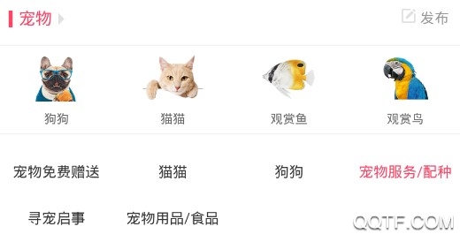 智慧百姓招聘最新吧 智慧百姓招聘最新吧