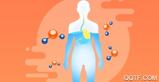 我的健康管家官方版 我的健康管家官方版