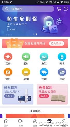 鱼生App官方版 鱼生App官方版