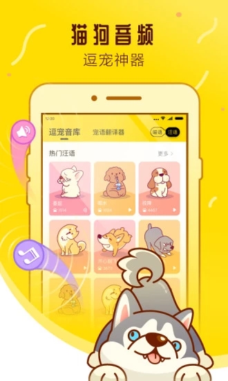 宠物邦 宠物邦