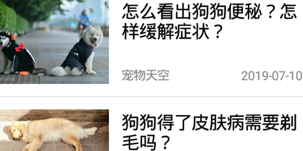 火猫宠社 火猫宠社