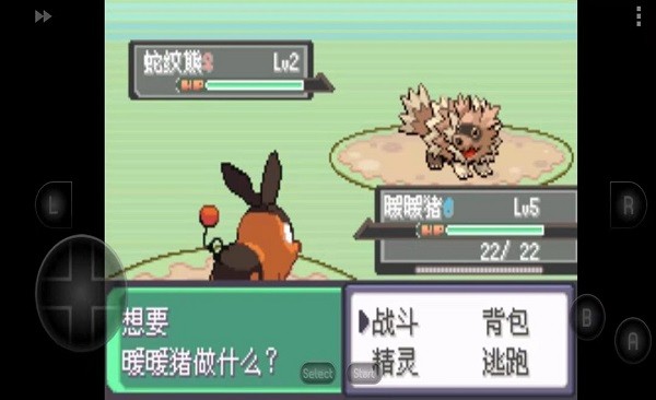 口袋妖怪究极绿宝石 口袋妖怪究极绿宝石