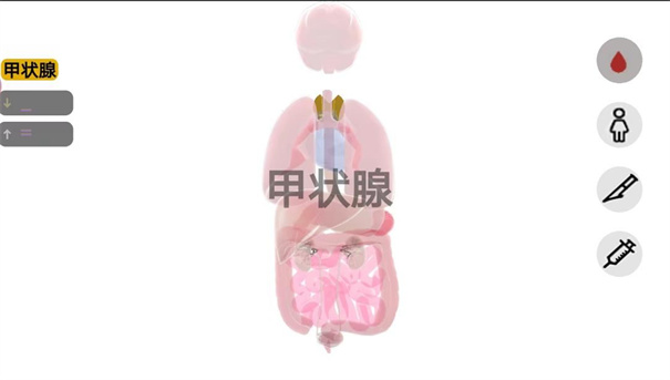 人体细胞模拟器 人体细胞模拟器