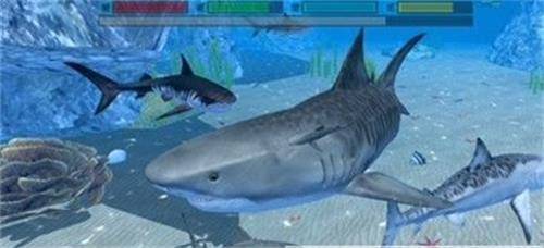 终极鲨鱼攻击3D 终极鲨鱼攻击3D