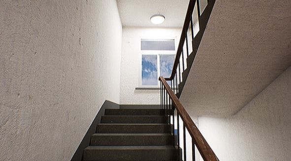 寄生公寓全cg汉化破解最新版手机下载安装 寄生公寓全cg汉化破解最新版手机下载安装