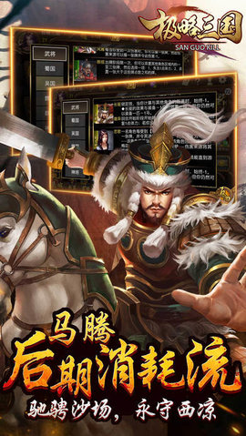 极略三国 极略三国