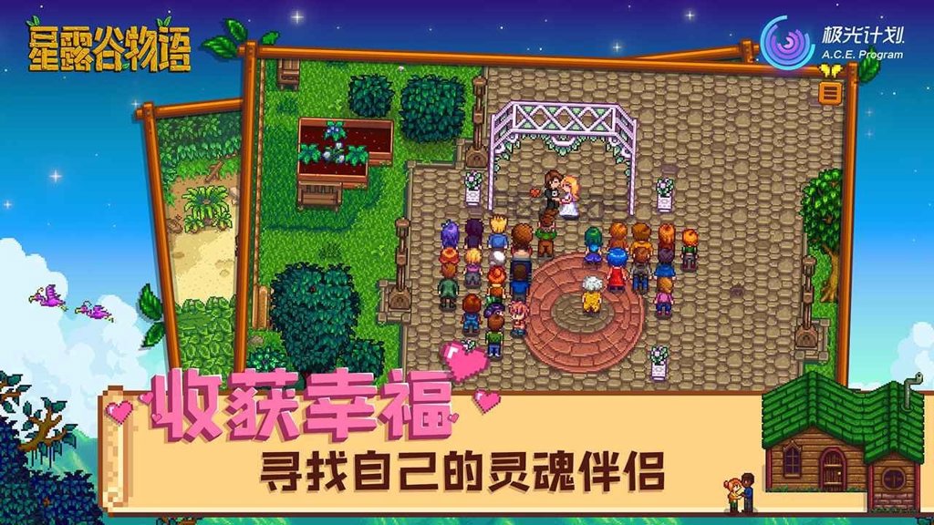 星露谷物语资源版手机免费版 星露谷物语资源版手机免费版