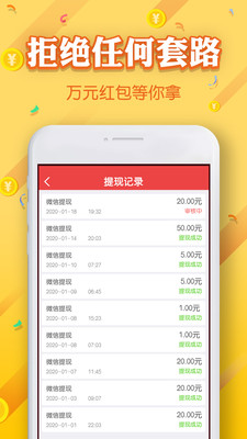 招财树 招财树