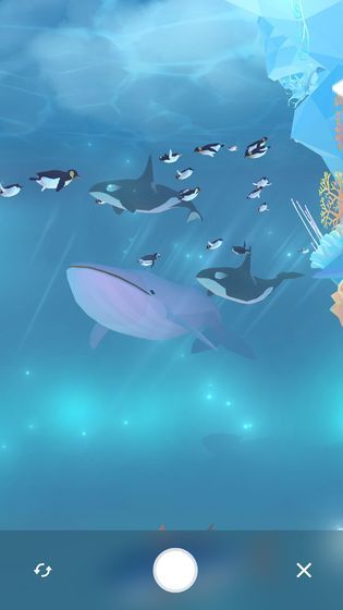 金多多水族馆 金多多水族馆