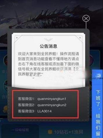 全民养鲲 全民养鲲