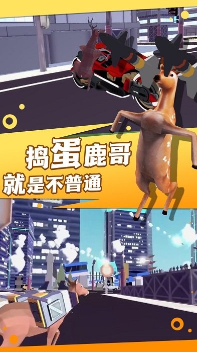 疯狂动物侦探社 疯狂动物侦探社