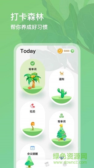 打卡森林 打卡森林