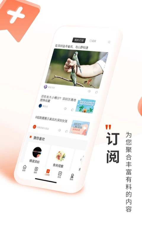 深圳Plus 深圳Plus