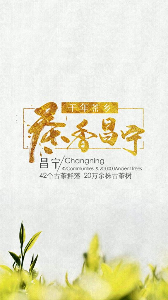 茶香昌宁 茶香昌宁