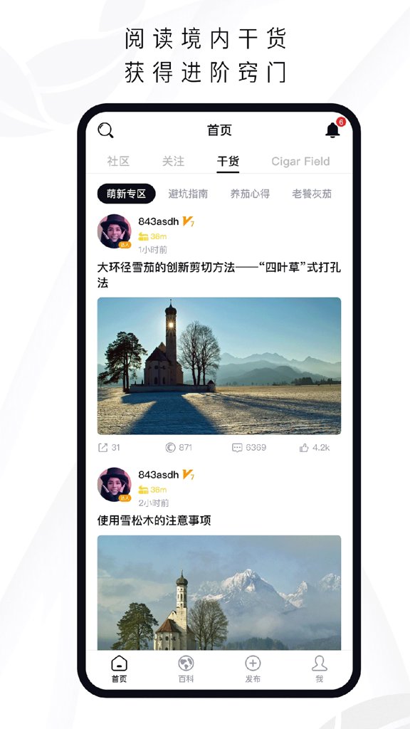 茄境 茄境