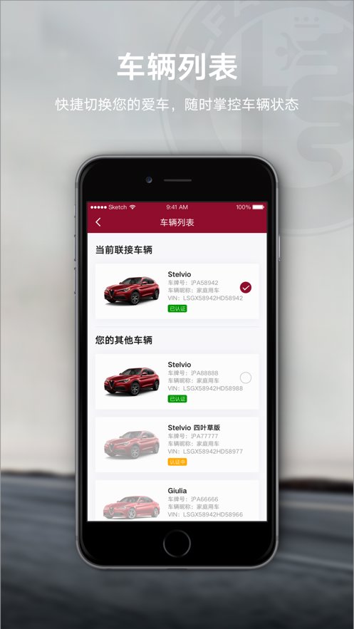 Alfa Connect