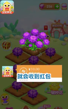全民养花