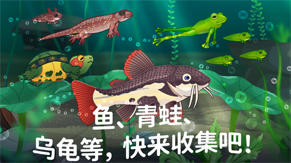 Pondlife安装器 Pondlife安装器
