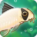 Pondlife安装器